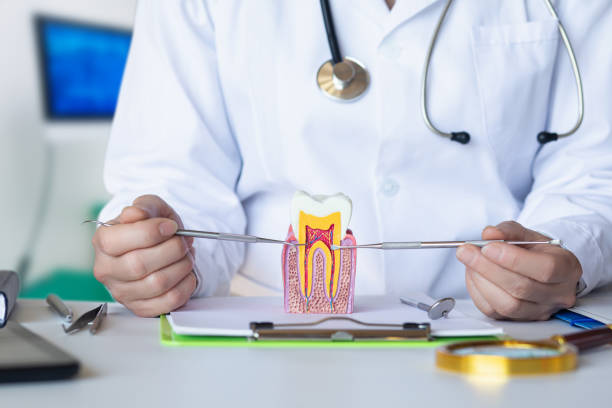 Best Emergency Dentist for Knocked-Out Tooth in Richmond Hill, GA